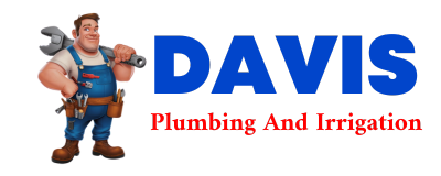 Trusted plumber in CRUMROD